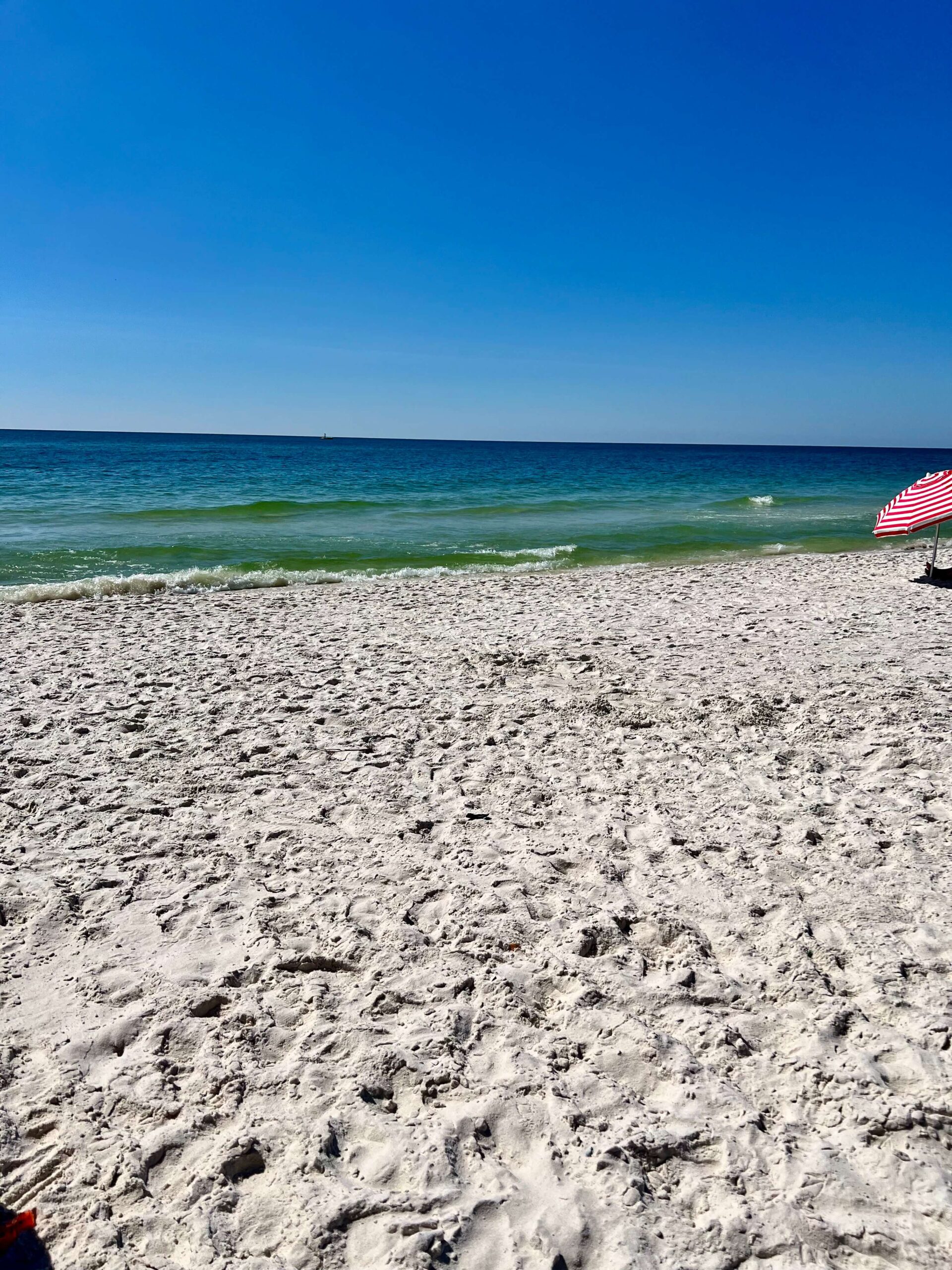 Gulf Shores Alabama 9
